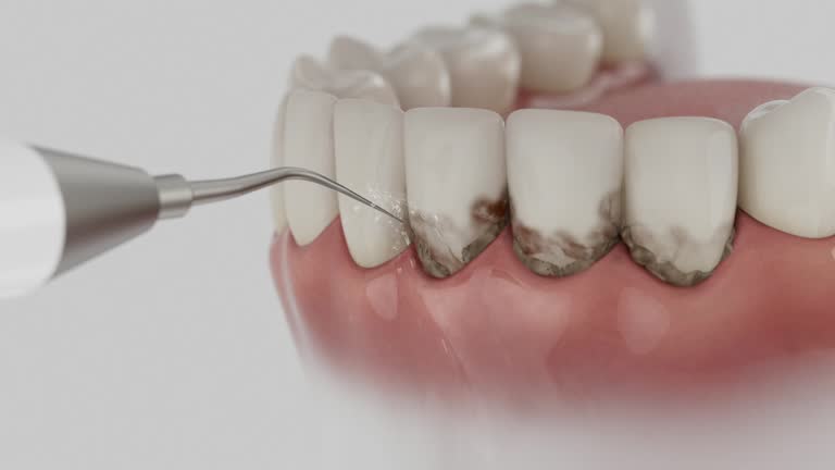 Reliable Dental contractor in Burke, VA by Dentist Open Now